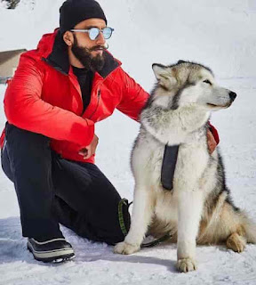Ranveer Singh With Dog