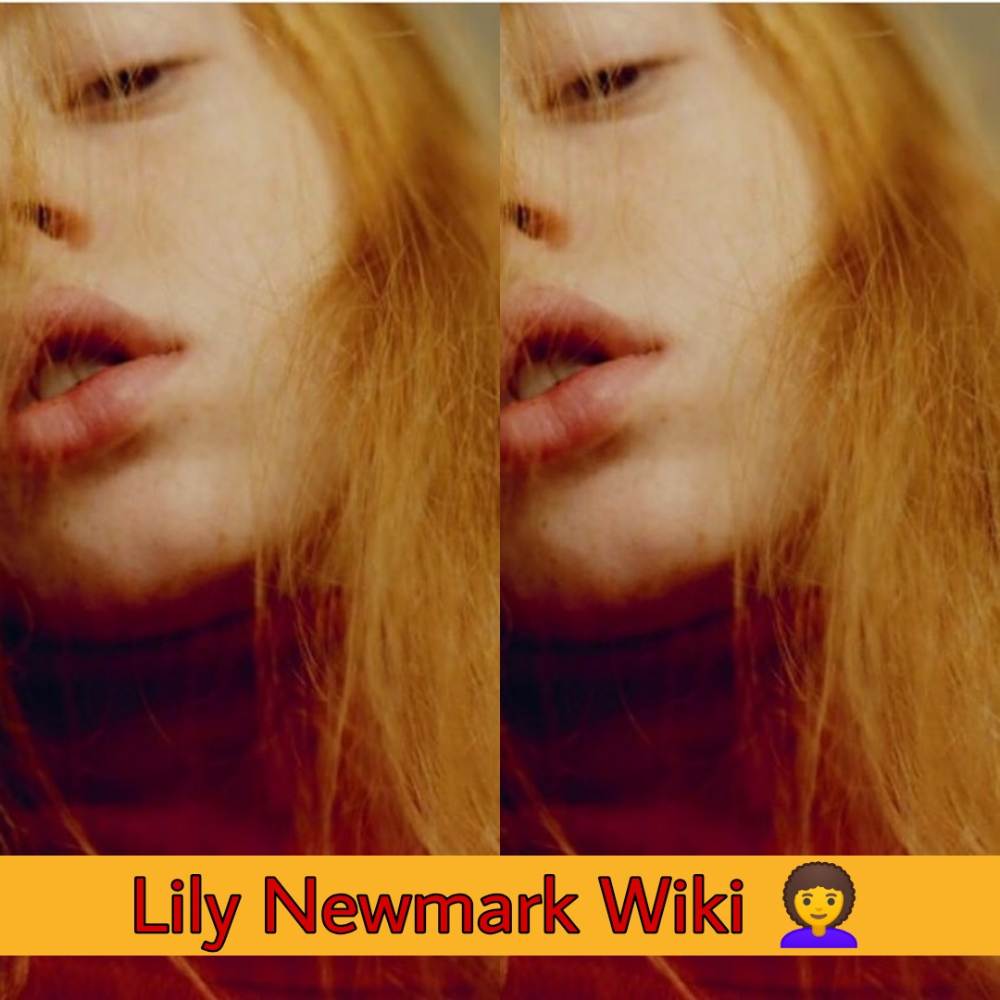 Lily Newmark Bio, wiki