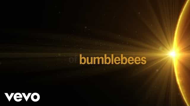 Bumblebee Lyrics - ABBA